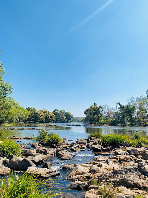 Dubara Elephant Forest, Coorg