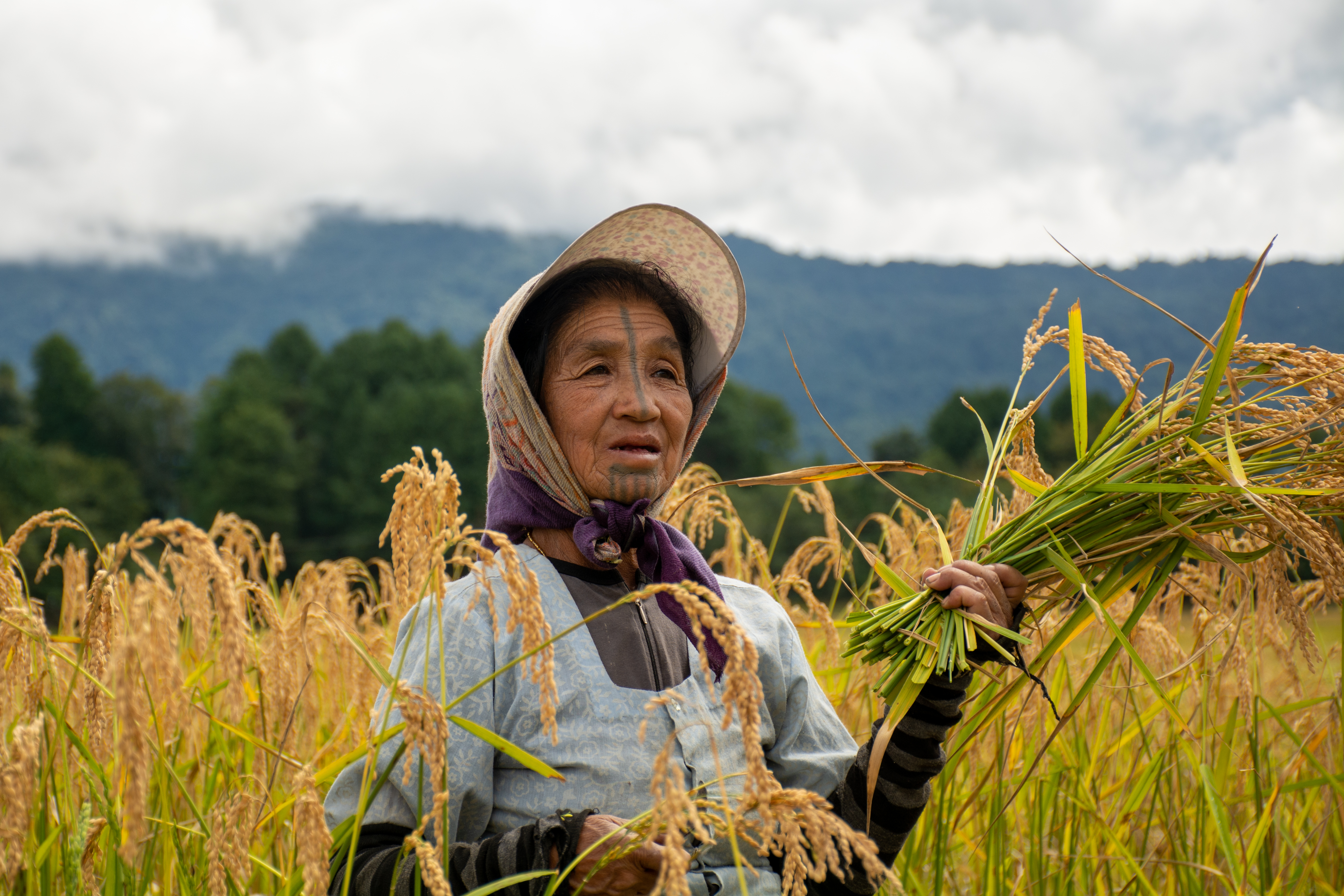 Shutterstock.com : Meet the Apatani Tribe in Ziro, Arunachal Pradesh