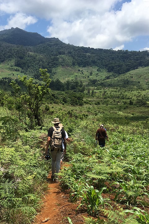 Group hiking up Gorongosa Mountain, Mozambique