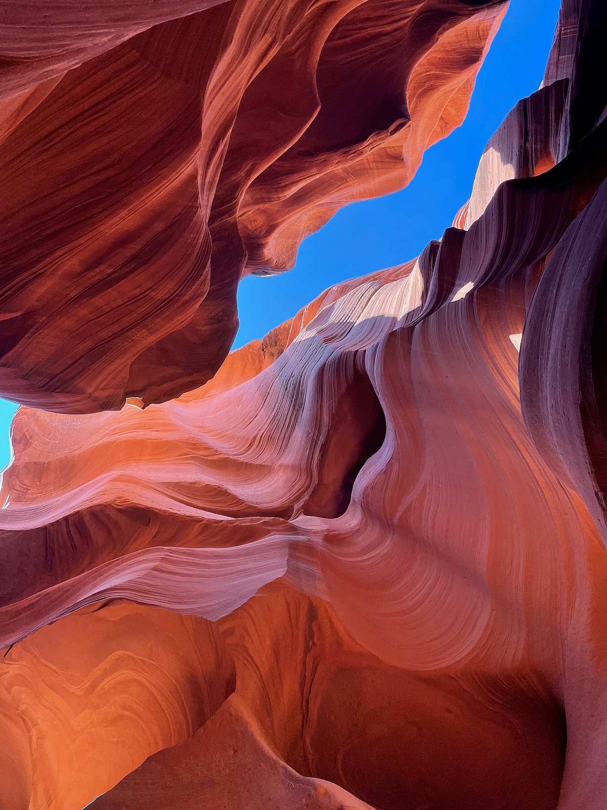 Shutterstock.com : Sedona is a great place to visit in November, with sunny weather and temperatures in the mid-60s