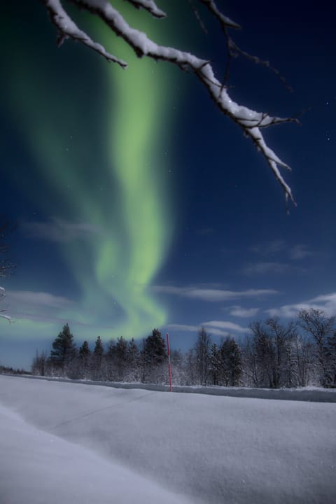 Beautiful Norther Lights in Kiruna sky