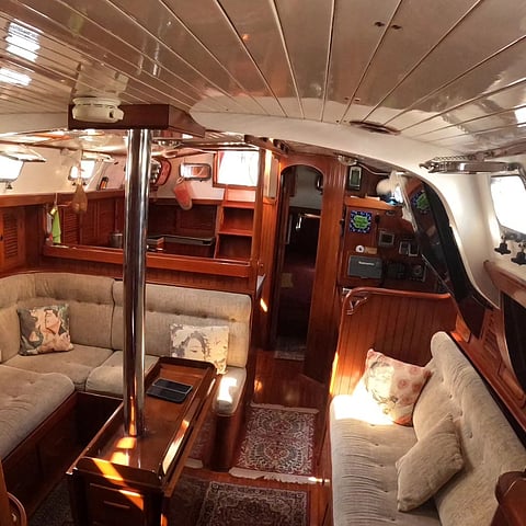 A glimpse of 'Reeva'