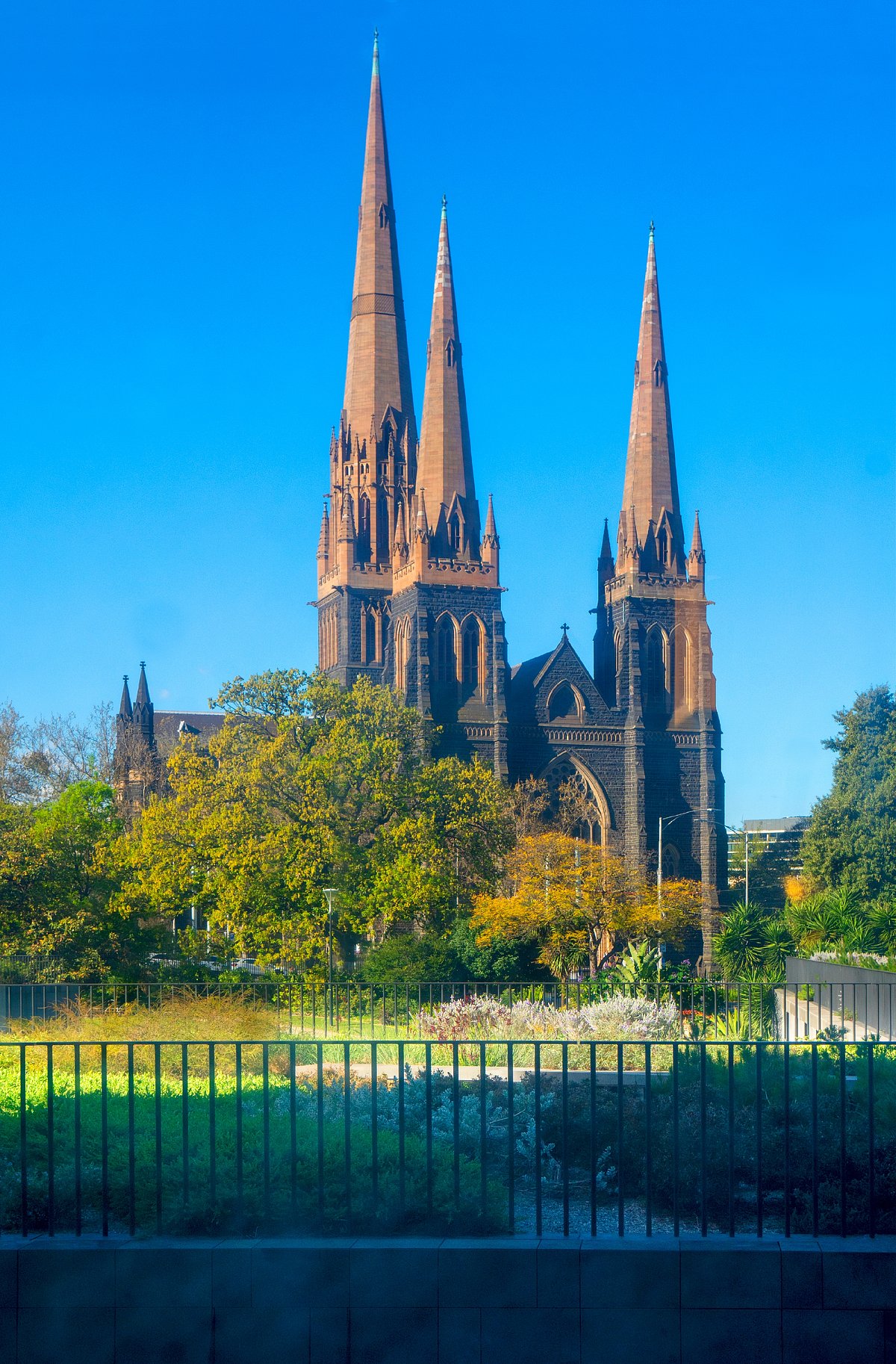 Shutterstock : St. Patricks Cathedral spires in Melbourne, Australia