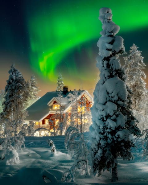 Beautiful winter night with Northern lights (aurora borealis) in the sky, Rovaniemi
