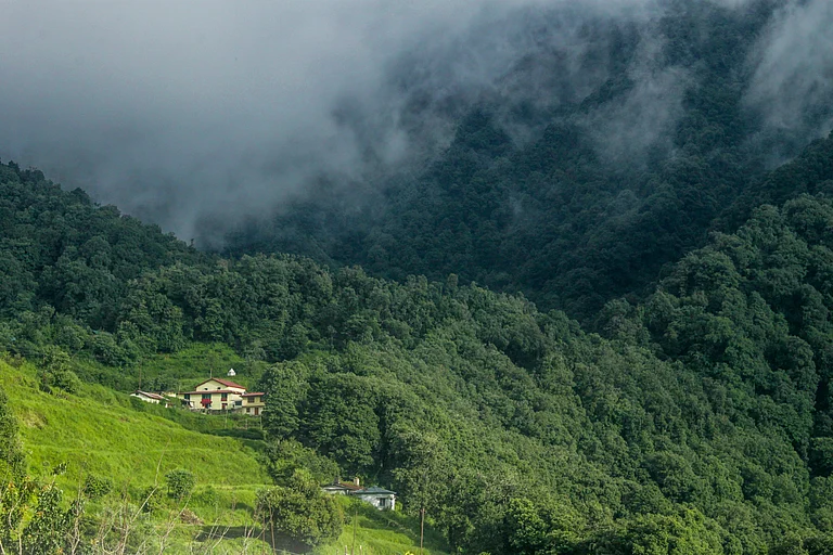 The tranquility of Pangot, Nainital - Shutterstock