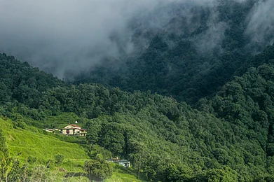 Shutterstock : The tranquility of Pangot, Nainital