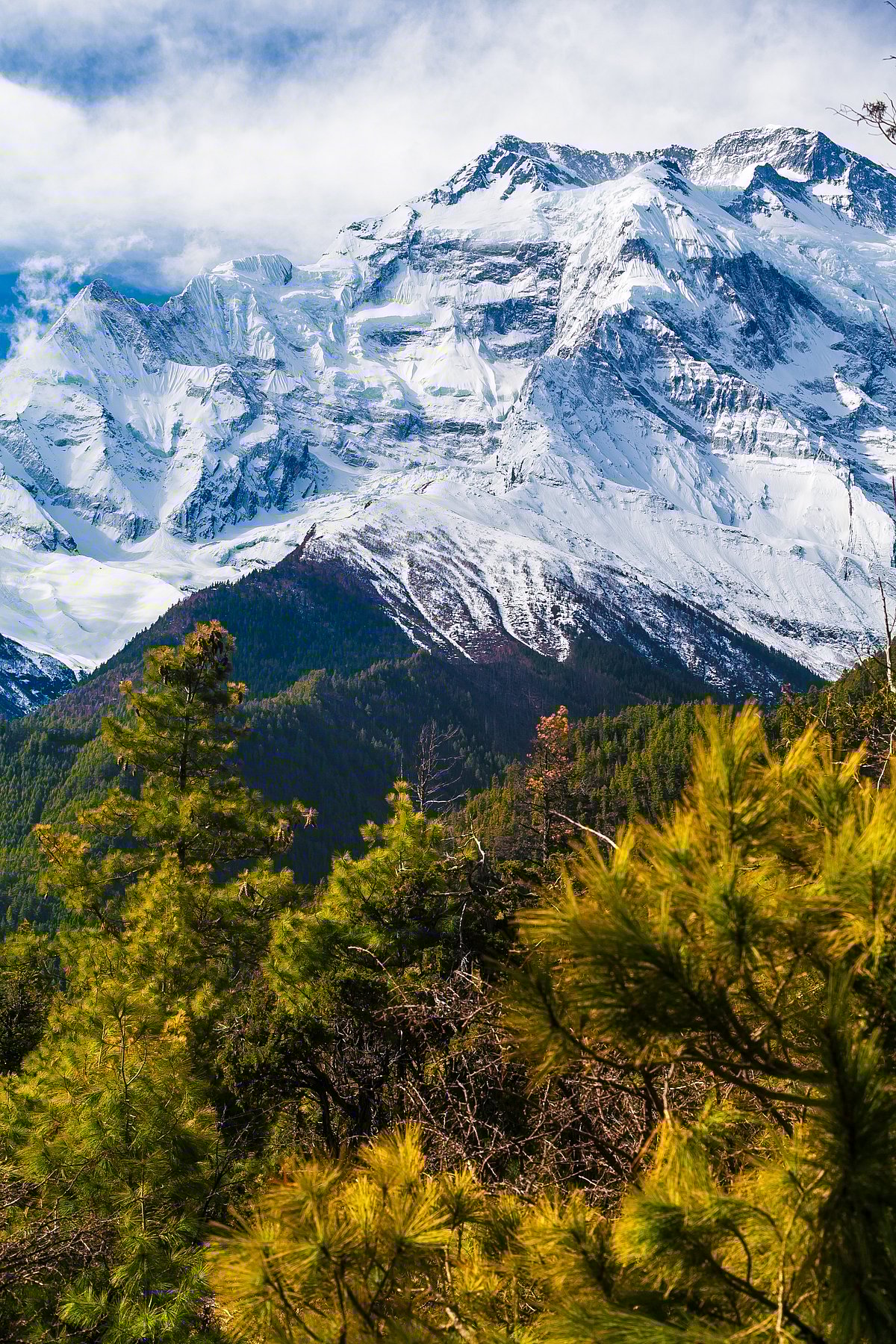 Shutterstock : A beautiful view of the Himalayas from Himachal Pradesh