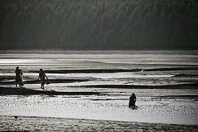 Shutterstock : Chandipur Beach, Odisha