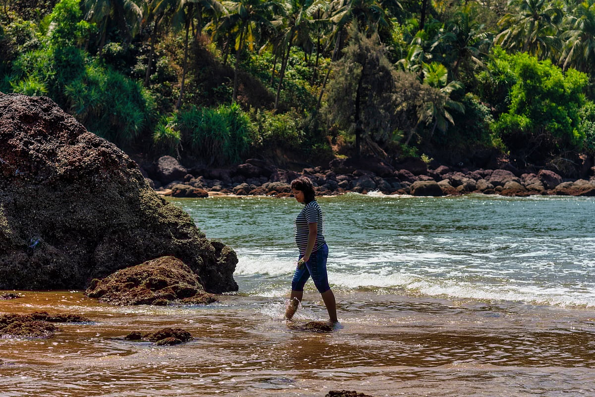 Galgibaga Beach is a sanctuary for the endangered Olive Ridley turtles