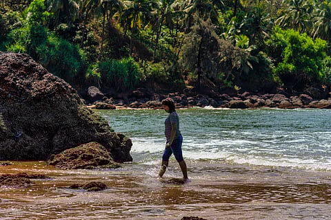 Galgibaga Beach is a sanctuary for the endangered Olive Ridley turtles