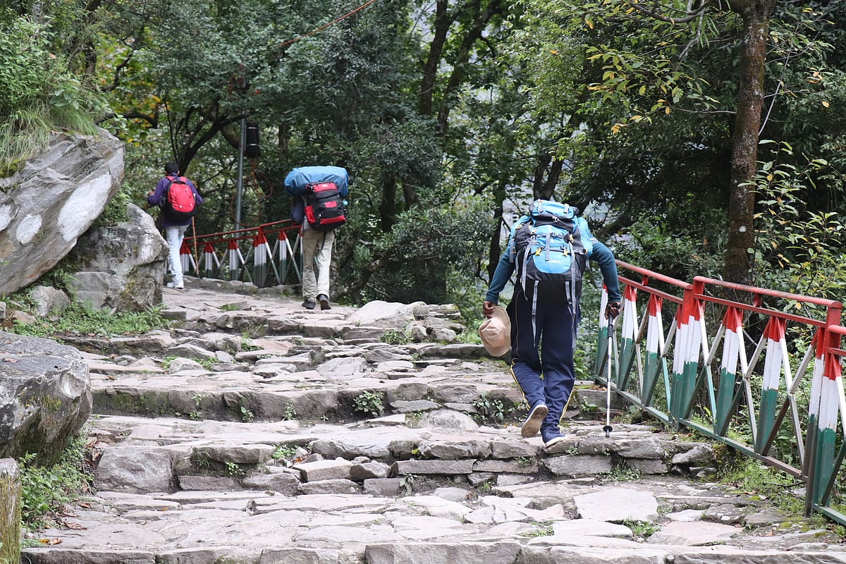 Trekking is one of the prominent experiences in Kaudiyala