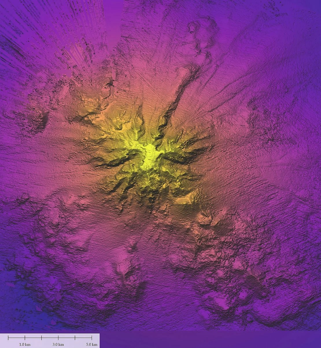 Nick Young/X : An infra-red view of the sea mount found 900 miles off the coast of Chile in the Pacific Ocean