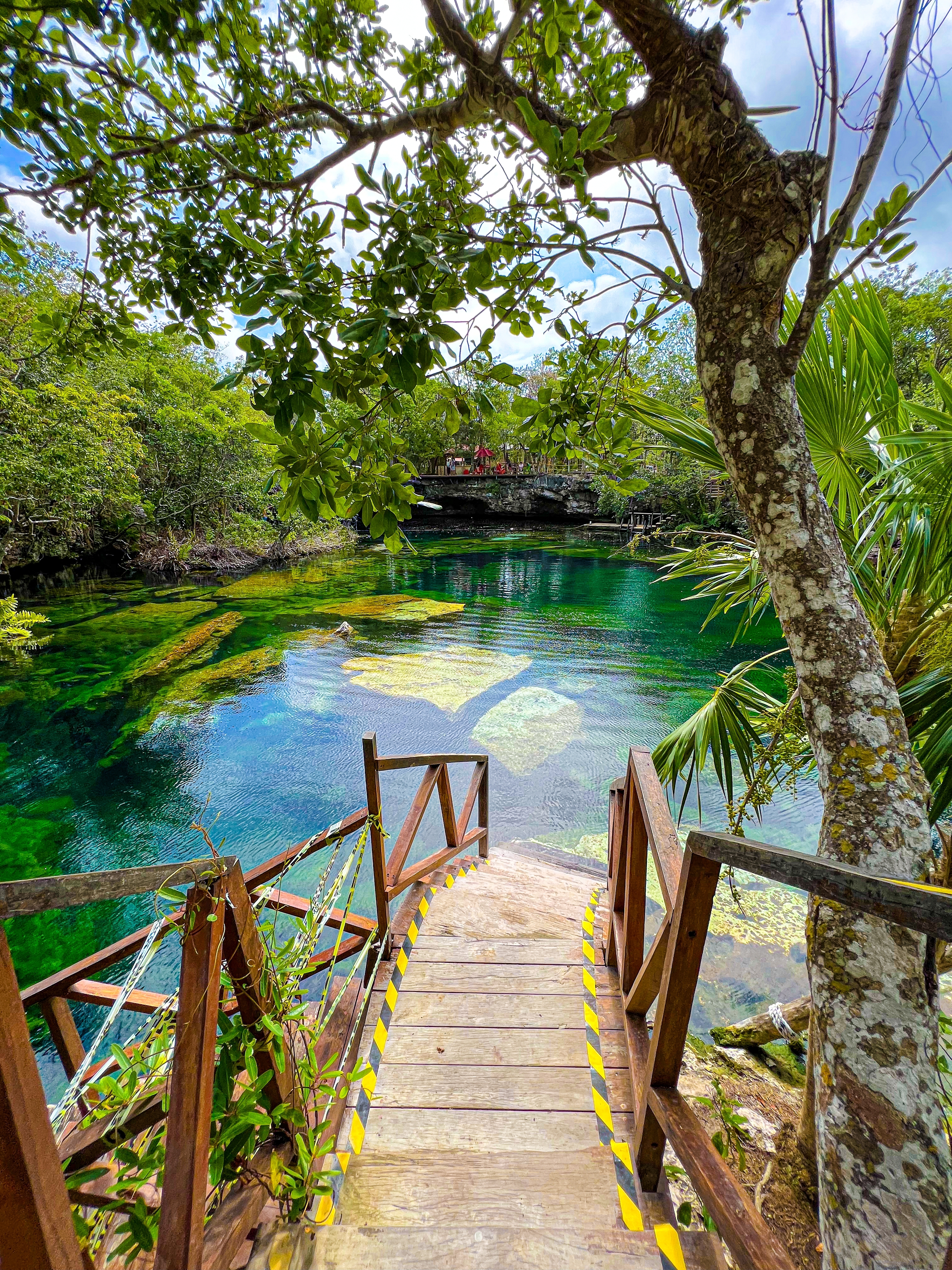 Tulum Cenotes of Playa del Carmen