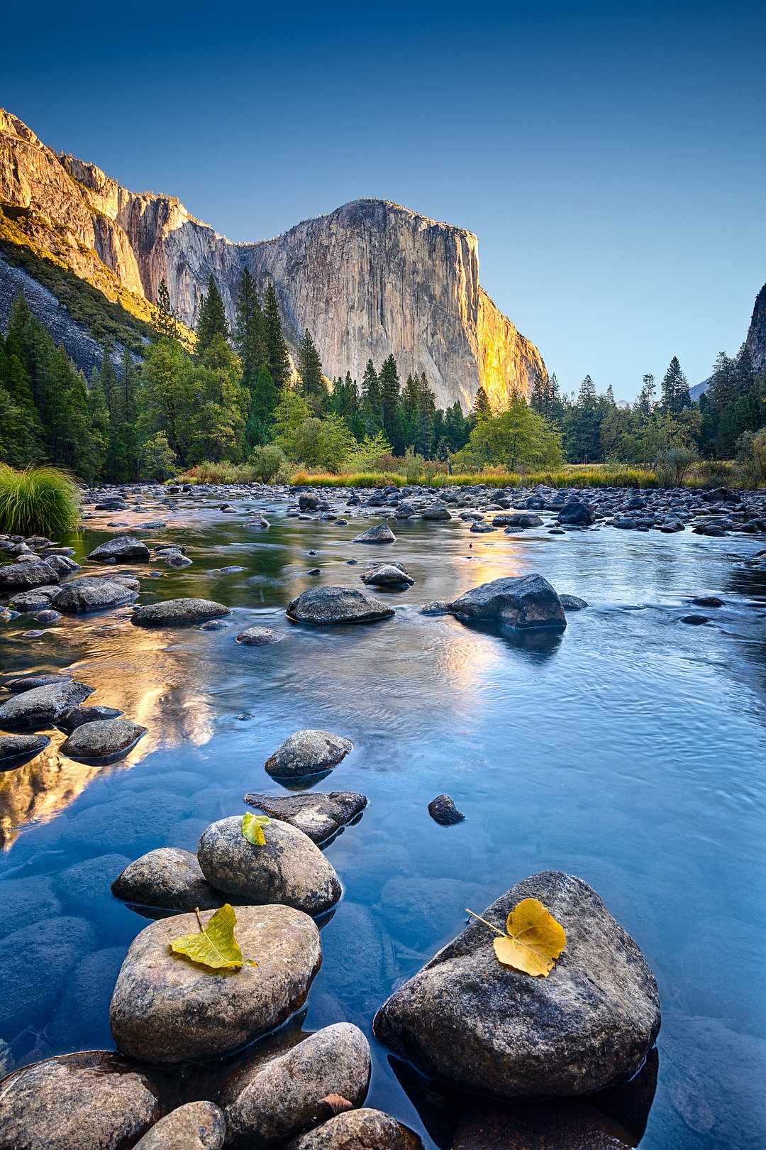 A view of the Yosemite National Park