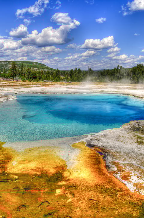 A view of the beautiful Yellowstone National Park