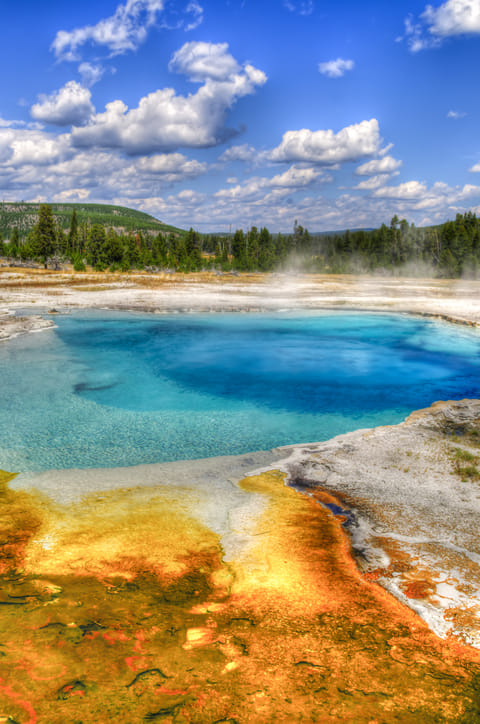 A view of the beautiful Yellowstone National Park