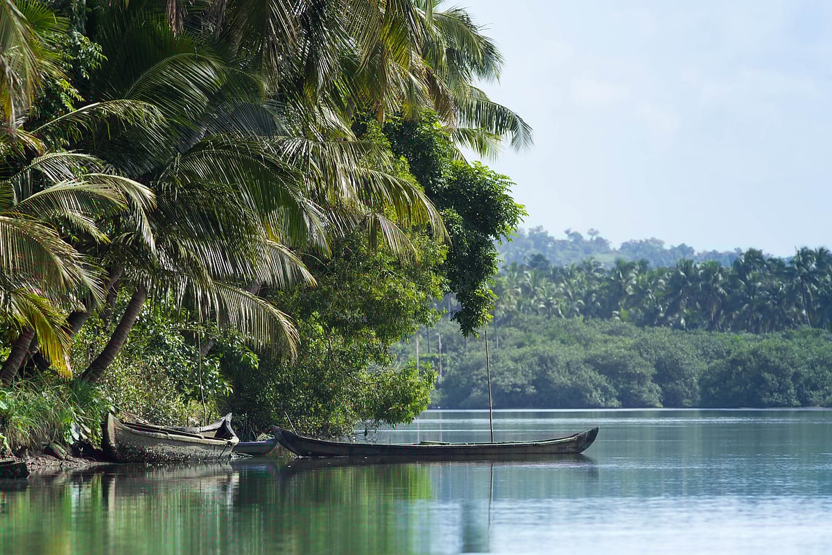 Kadalundi Bird Sanctuary