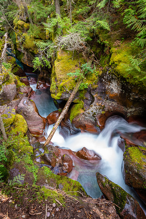 Trail of the cedars, Avalanche Creek