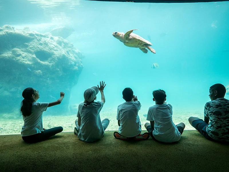 The Musée océanographique de Monaco is renowned worldwide for its expertise in marine science