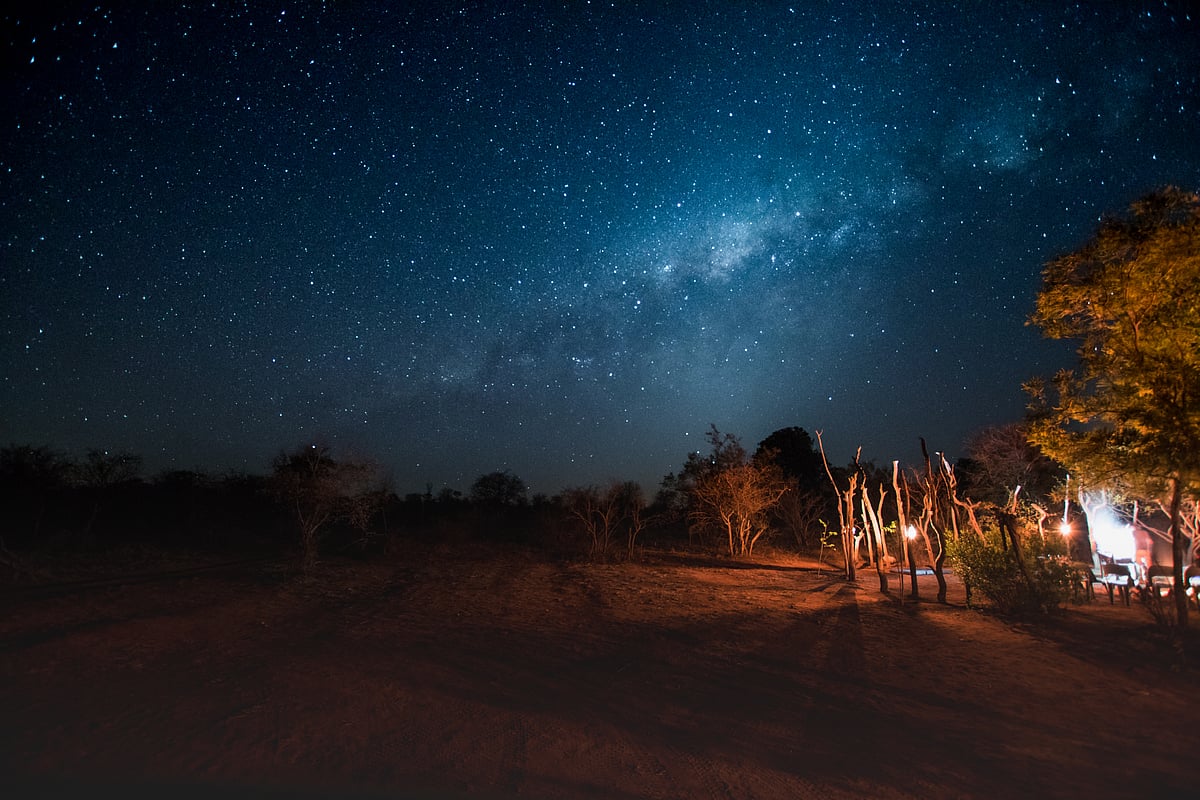 Observe the Milky Way over Kruger National Park