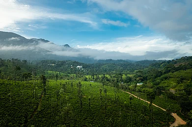 Shutterstock.com : Tourism in Wayanad was severely affected by the damages caused by the landslides earlier this year
