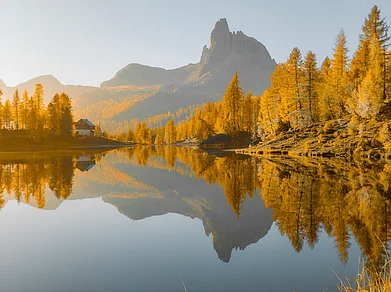 Picture is shot on vivo smartphone by Karan Mehta