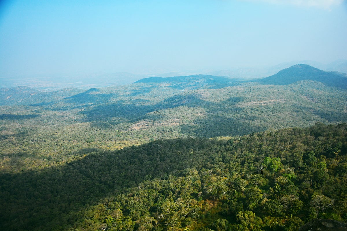 View from the top of Biligiriranga Hills 