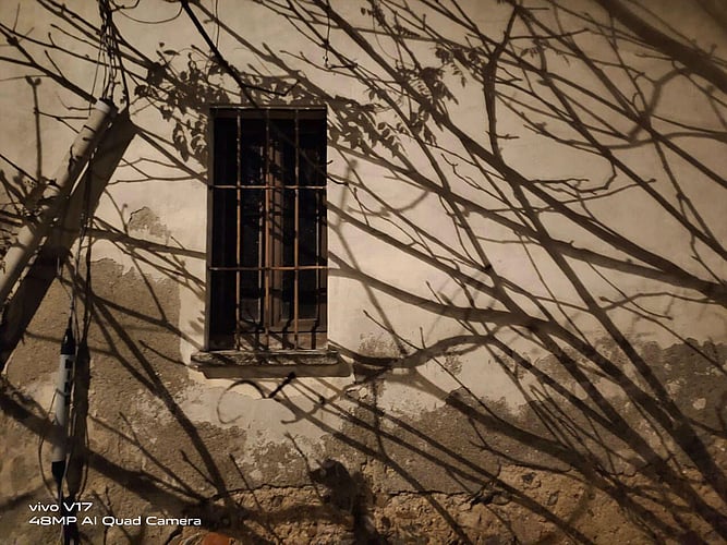 Picture is shot on vivo smartphone by Anjali Rao