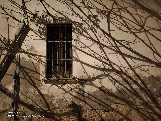 Picture is shot on vivo smartphone by Anjali Rao