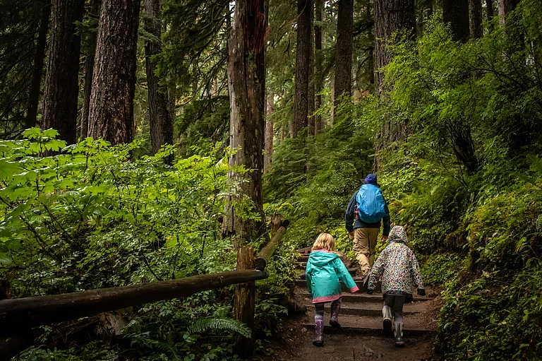 Hoh Rainforest, US - Shutterstock