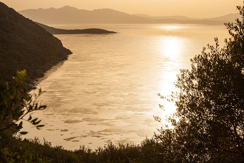 The glittering expanse of Lake Ichkeul