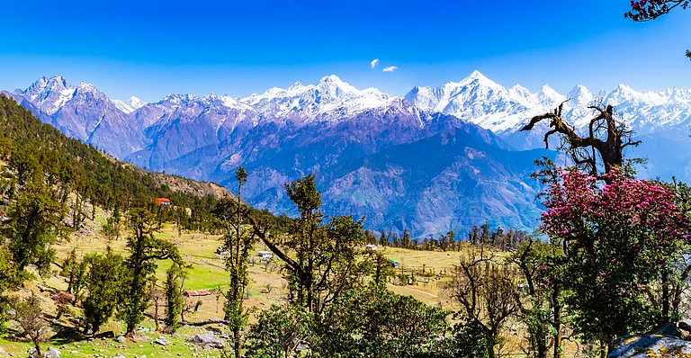 This is the view of Panchchuli peaks and alpine landscape from Khalia top trek trail at Munsiyari
- Shutterstock