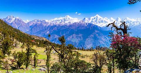 This is the view of Himalayas Panchchuli peaks & alpine landscape from Khalia top trek trail at Munsiyari