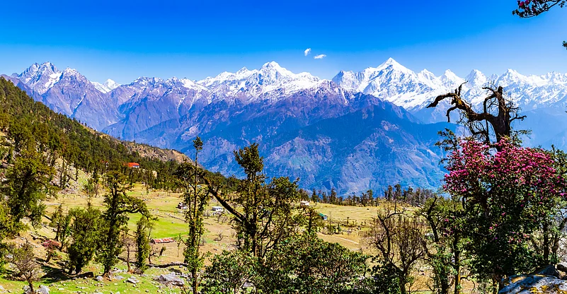 This is the view of Himalayas Panchchuli peaks & alpine landscape from Khalia top trek trail at Munsiyari
