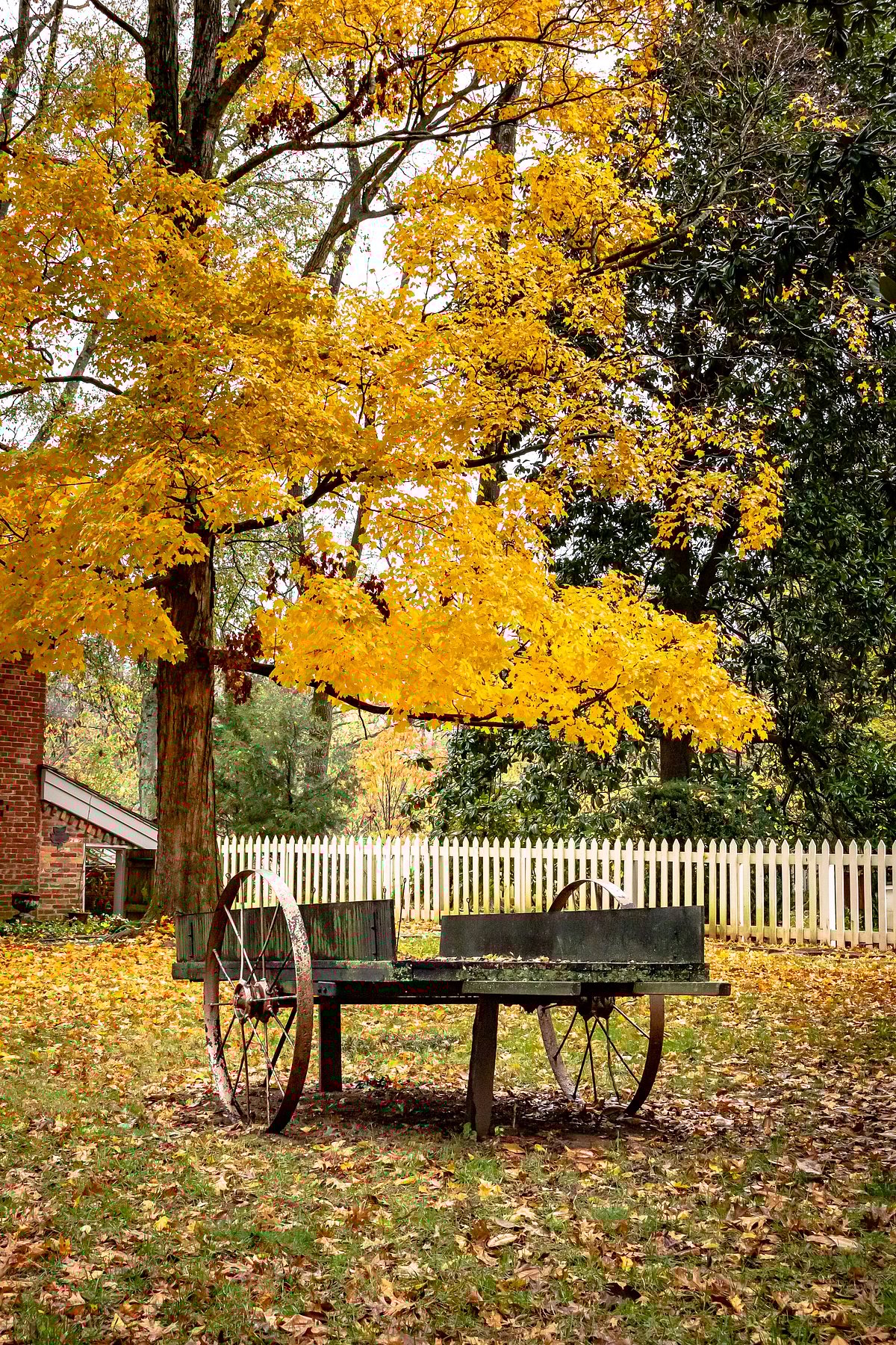Shutterstock : A rustic setting in Nashville, Tennesse