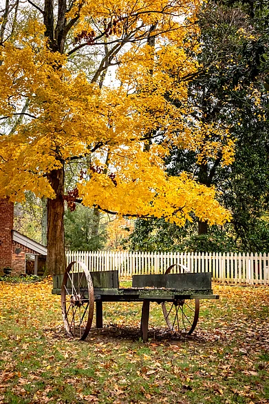 Shutterstock : A rustic setting in Nashville, Tennesse