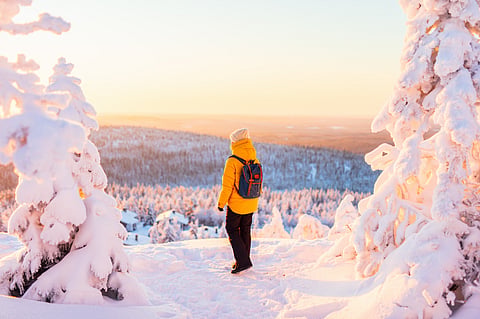 A woman enjoying stunning view over winter forest with snow covered trees in Lapland, Finland