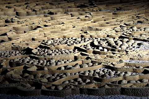 The cave pearls of Hang Sơn Đoòng