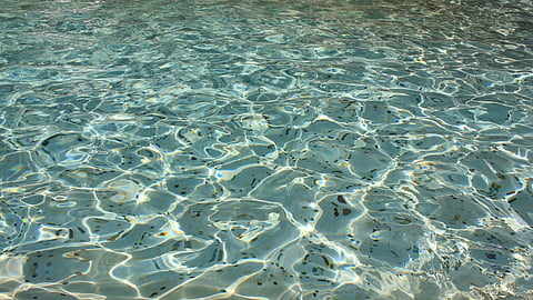 Coins in the Trevi Fountain. Legend has it that if you can toss a coin over your shoulder into the fountain with your back toward it, you will be able to visit Rome again