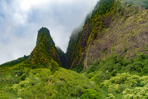 The “ʻĪao Needle” is an erosional feature that dramatically rises 365m from the valley floor in the ʻĪao Valley State Monument