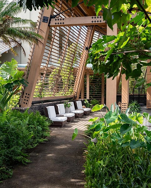 1 Hotel's Hanalei Bay features native plants in their design