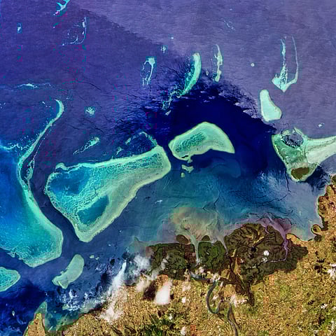 Mangroves and coral reefs in Viti Levu