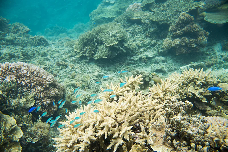 A view of the Great Astrolabe Reef, Fiji