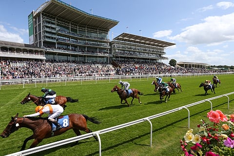 The closing stages of a race at York Race Course 