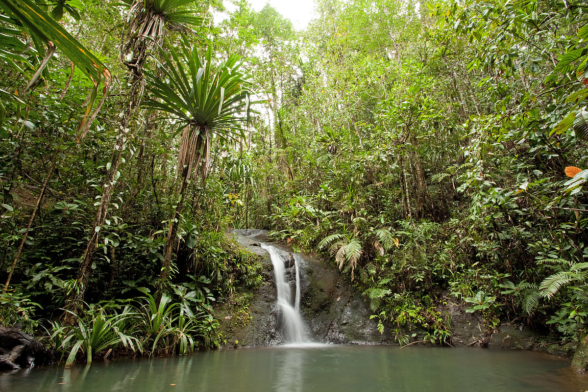 A waterfall at the Colo-i-Suva Forest Park