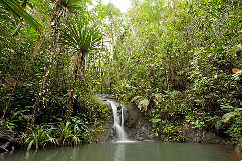 A waterfall at the Colo-i-Suva Forest Park