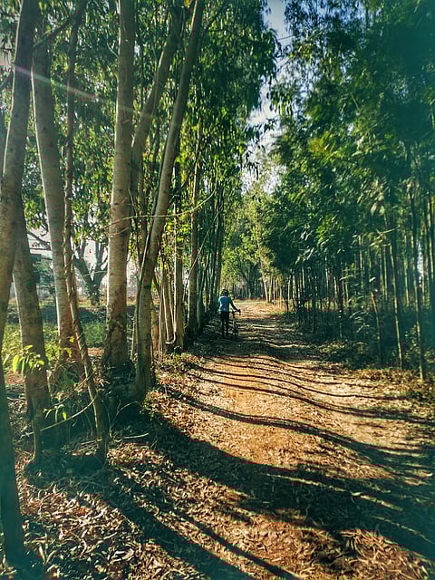 Around Muthanallur Lake