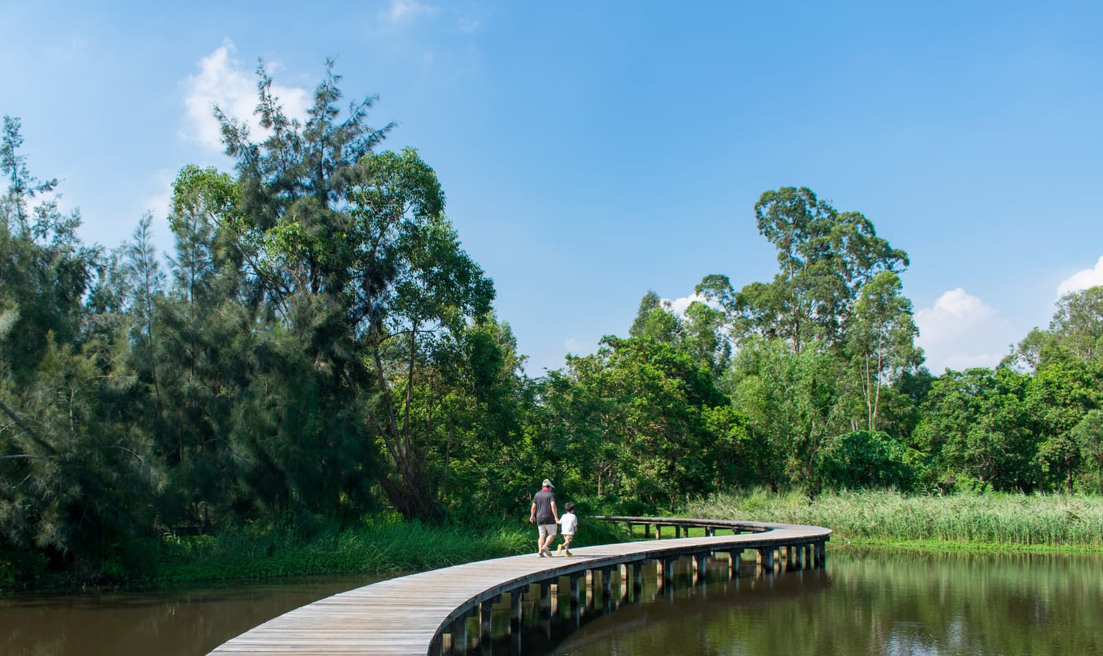 At the Hong Kong Wetland Park