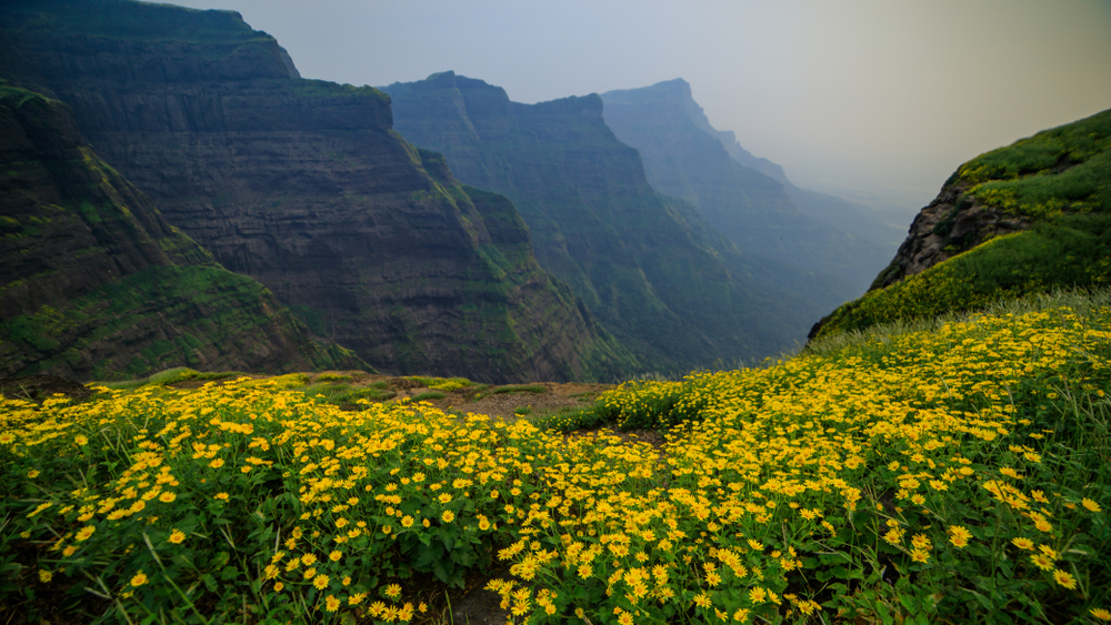 Valley view from Ratangad