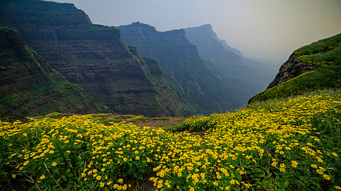 Valley view from Ratangad